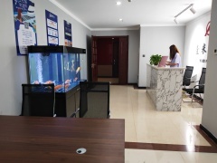 内蒙古中跃信息技术咨询服务 赋能企业数字化转型的专业力量